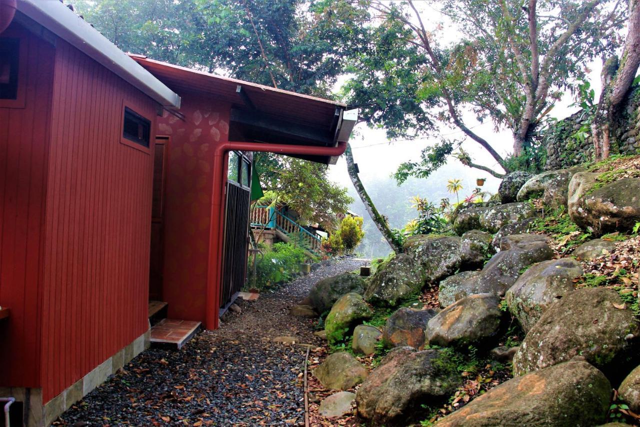 Casitas Eco Bambu Villa Cartago Exterior photo